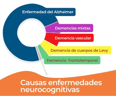 Causas enfermedades neurodegenerativas o los diferentes tipos de demencia como el Alzheimer