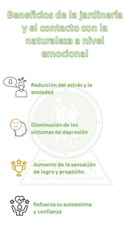 Beneficios de la jardineria0