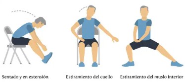 Ejercicios de estiramiento adulto mayor