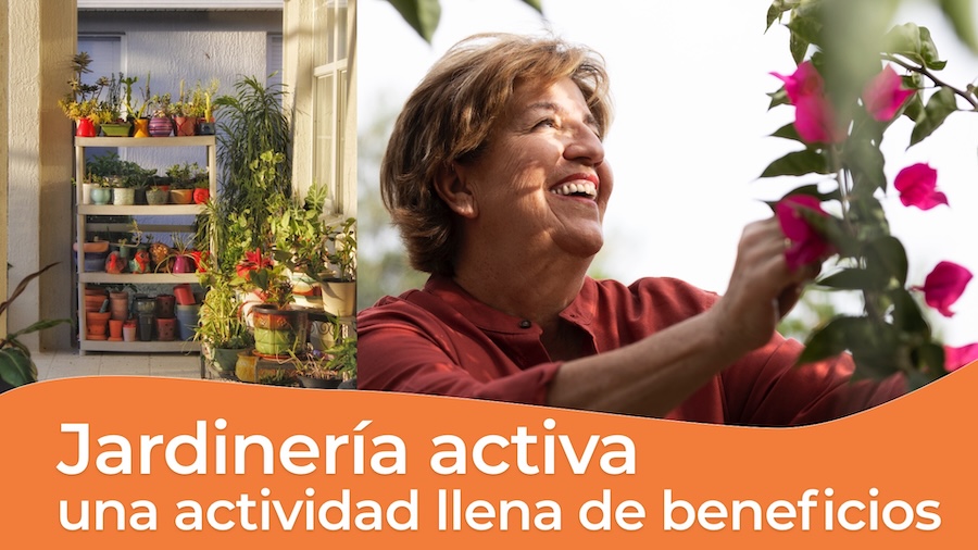 Jardineria activa- una actividad excelente para personas mayores