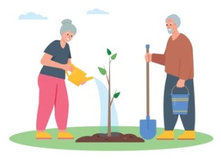 Jardineria activa