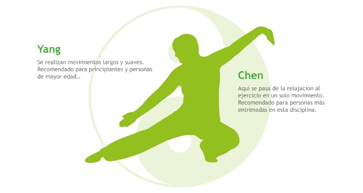 Tipos de Tai Chi