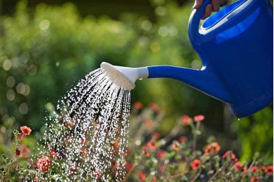 herramientas de jardineria