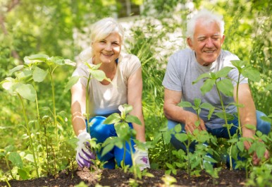 horticultura terapeutica