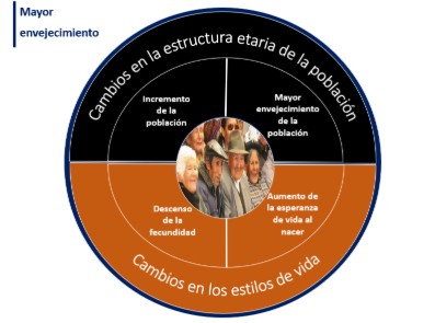 Mayor envejecimiento